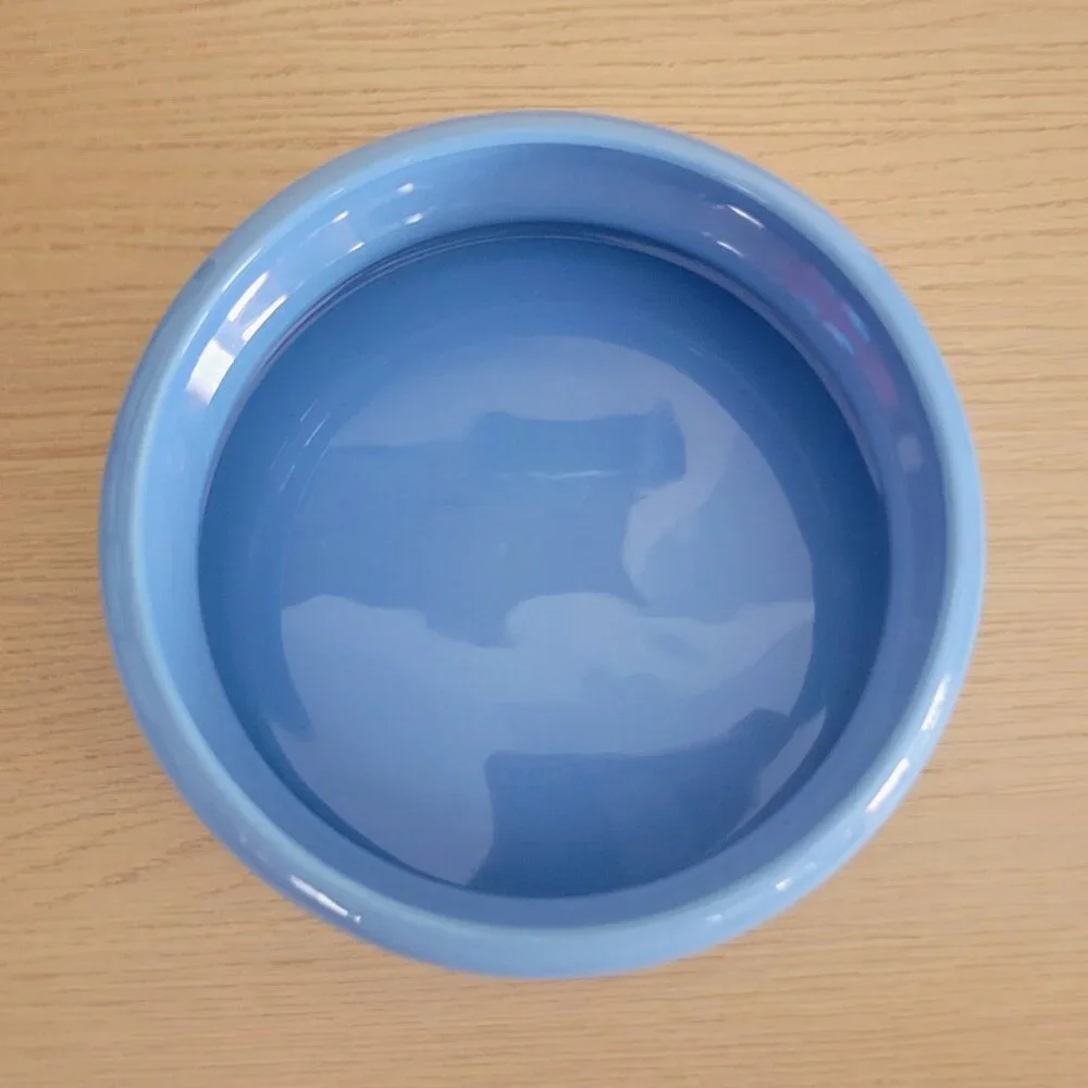 Mutt Nation Pet Bowl by Miranda Lambert